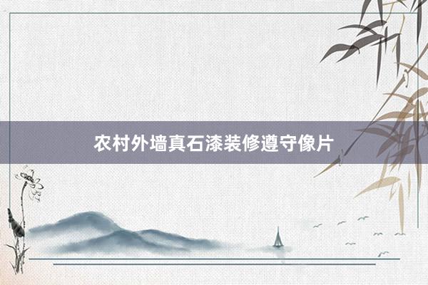 农村外墙真石漆装修遵守像片