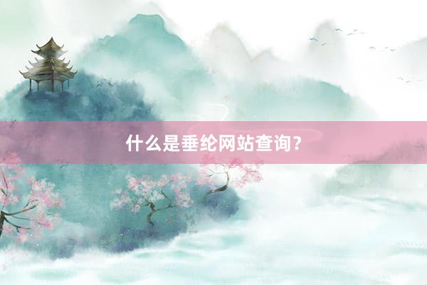 什么是垂纶网站查询？